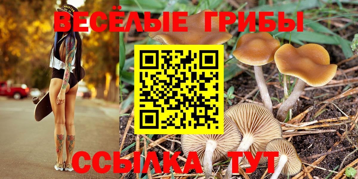 Новоалександровск  Псилоцибиновые грибы Magic Shrooms  Галлюциногенные грибы GOLDEN TEACHER  Вход с VPN 